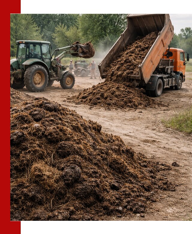 Доставка навоза самосвалами в Орле для сельхозпотребностей
