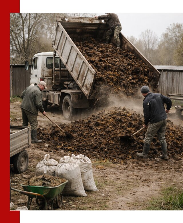 Доставка коровьего навоза самосвалом в Орле